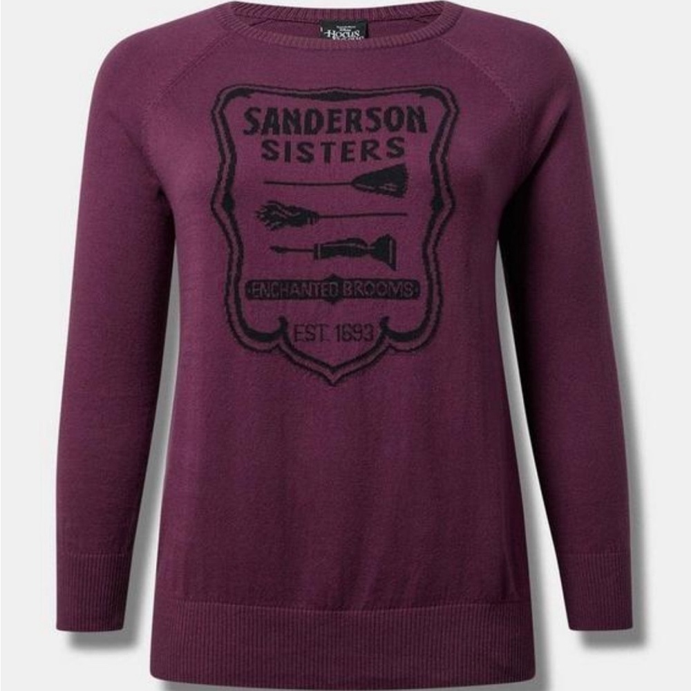 Torrid Disney Sweater Tops